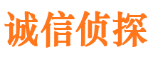 通山外遇调查取证